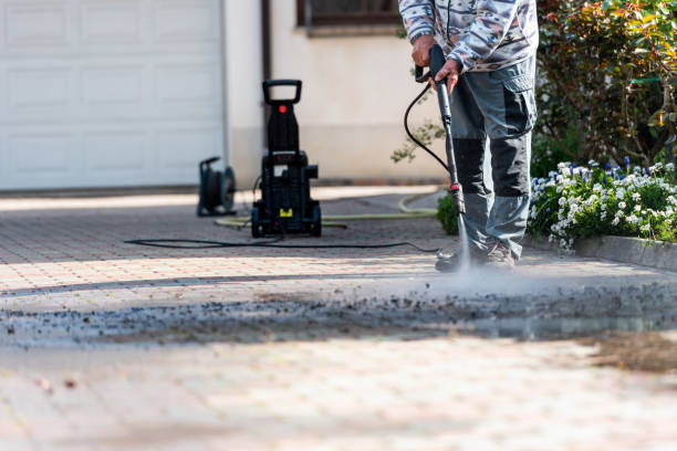 Best Pressure Washing Company Near Me  in Hayfield, MN