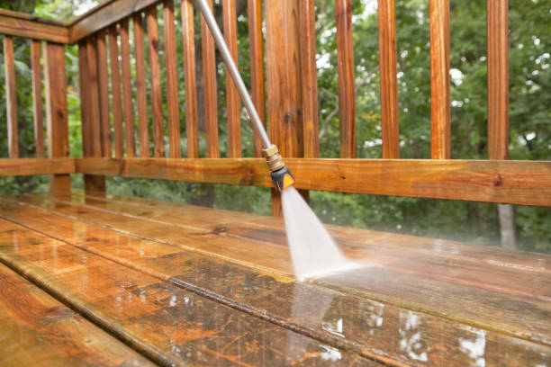 Best Residential Pressure Washing Services  in Hayfield, MN