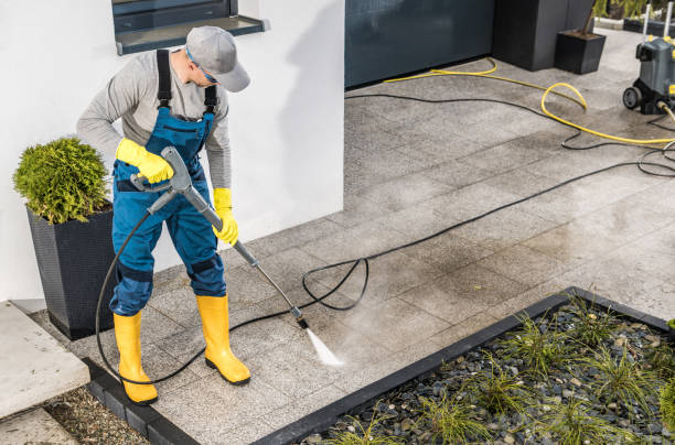 Best Power Washing Near Me  in Hayfield, MN
